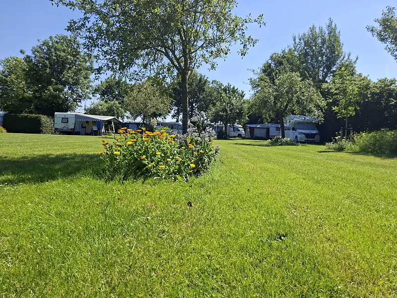 Bloeiende bloemrand op het gemaaide gras met campers en caravans op de achtergrond