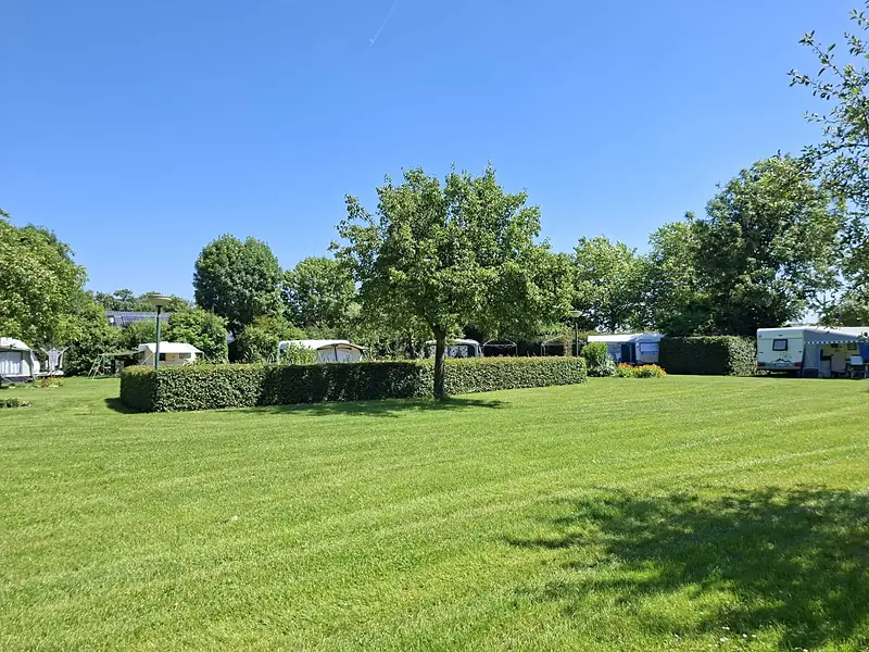 Groene haag en fruitboom op het zonnige kampeerveld