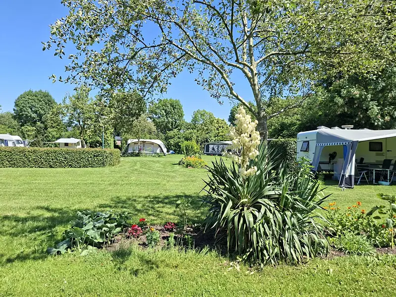 Caravan met voortent naast een bloeiende yucca en bloemperken op minicamping ’t Mostoch