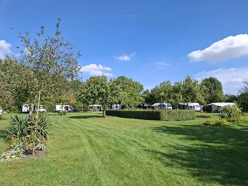 Ruim kampeerveld met caravans onder een blauwe lucht met witte wolken