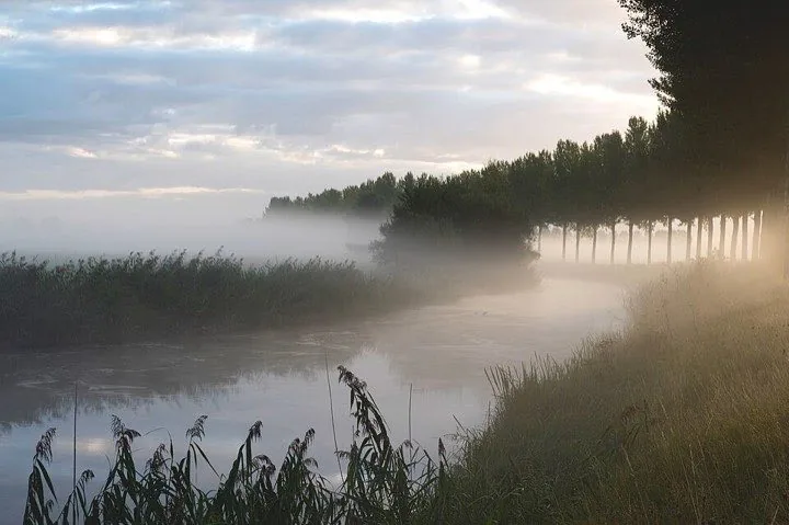Mistige kreek in Nationaal Park De Biesbosch